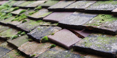 Bishops Castle roof repair costs